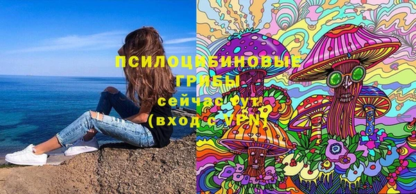 соль ск Аркадак