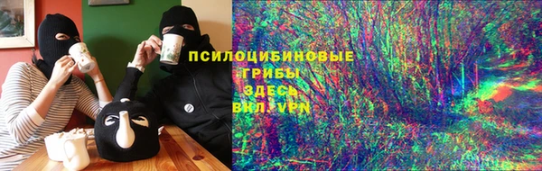 соль ск Аркадак