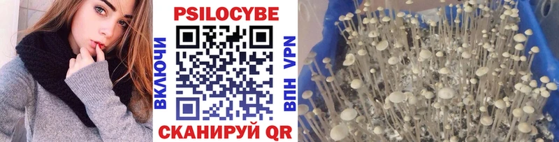Галлюциногенные грибы MAGIC MUSHROOMS Среднеуральск